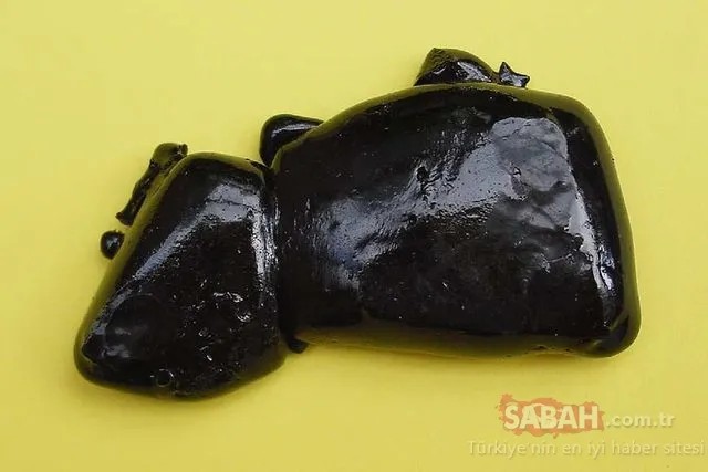 Dağların gözyaşı olarak biliniyor... Mumiyo gizli kalmış bir şifa kaynağı!