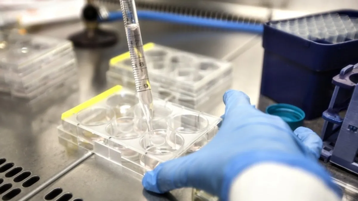 Teşhis konulamayan hastalık paniği! 45 kişi öldü: Sayının artışından korkuluyor