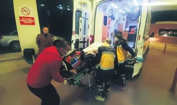 Köpek yüzünden silahlı kavga: 2 ölü