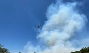 Antalya’da orman yangını!