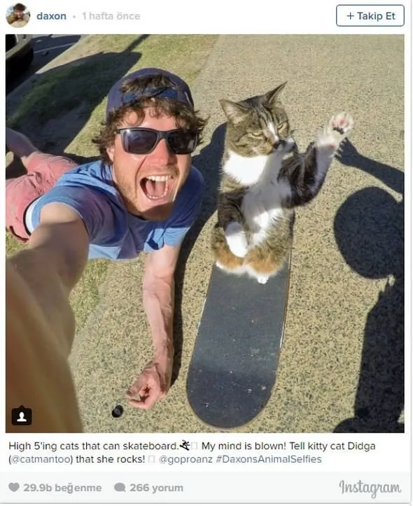 Mesleği hayvanlarla selfie çektirmek