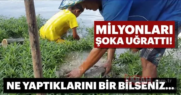 Ne yaptıklarını bir bilseniz!