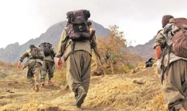 Hakkari'de bir terörist teslim oldu