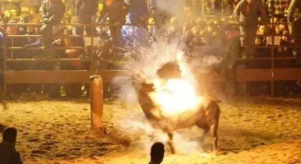 Böyle bir vahÅet görülmedi... Diri diri yaktılar...