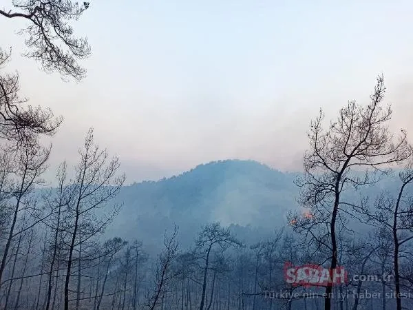 SON DAKİKA | Bakan Kirişçi duyurdu! Marmaris'teki yangın büyük ölçüde kontrol altına alındı