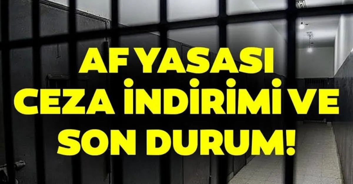 Af Yasasi Ne Zaman Cikacak 2020 Ikinci Yargi Paketinin Iceriginde Af Yasasi Olacak Mi Genel Af Yasasi Ikinci Yargi Paketi Ve Ceza Indirimi Son Durum Son Dakika Yasam Haberleri