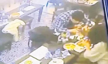 Yemek yerken dudağını böcek ısırdı