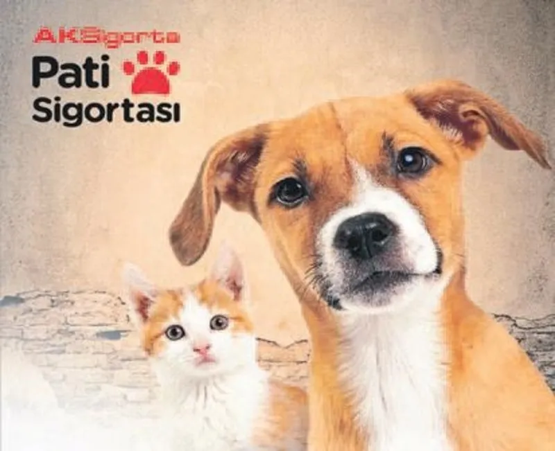 ev hayvanlari aksigorta ile guvence