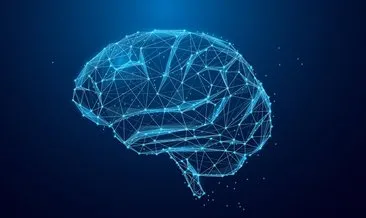 Beynin Görevleri Ve Bölümleri- Sol Ve Sağ Beyin Nedir, Yapısı, İşlevi Ve Özellikleri Neler?
