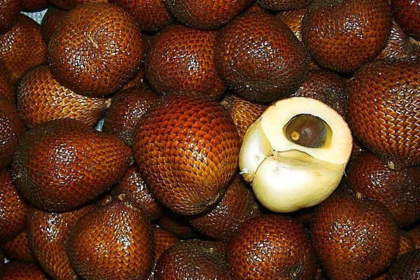 Kolay kolay bulamayacağınız 10 ilginç meyve