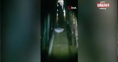 ABD-Meksika sınırında 242 metre uzunluğunda bir “narko-tünel” daha bulundu | Video