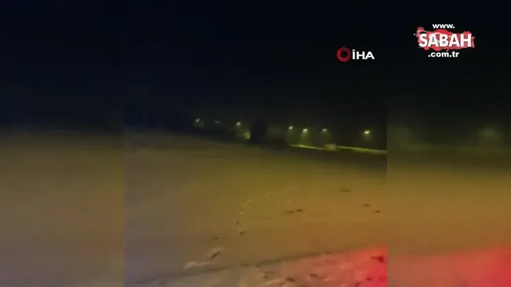 Ardahan’da aç kalan kurtlar şehre indi