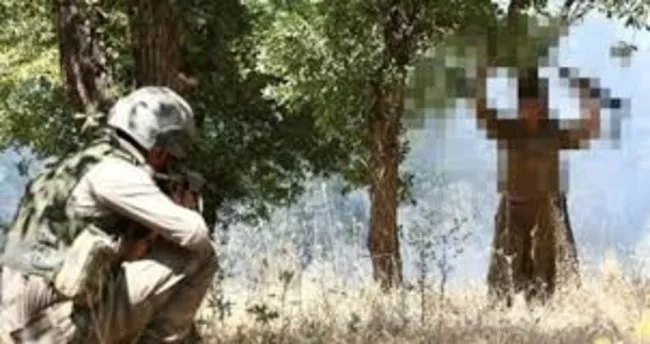 5 terör örgütü mensubu güvenlik güçlerine teslim oldu