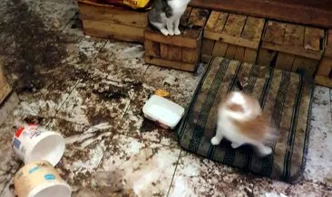 Korkunç manzara! Dakikalarca kapıda beklediler! Savcılıktan izin alıp vinçle camdan girdiler... Korkunç manzara! Dakikalarca kapıda beklediler! Savcılıktan izin alıp vinçle camdan girdiler...