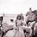 Nasturi ayaklanması başladı