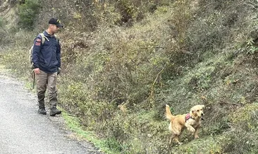 SON DAKİKA... Bartın'da 78 yaşındaki Zehra Günay 2 gündür aranıyordu: Cansız bedeni bulundu! #bartin