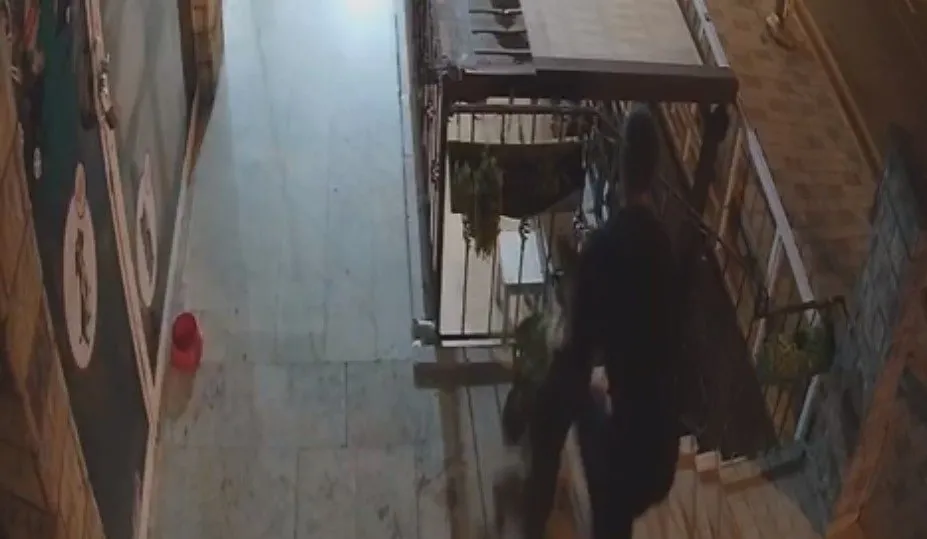 Köpeği boğmaya çalışan caninin yeni videosu çıktı! Bu görüntü kan dondurdu!