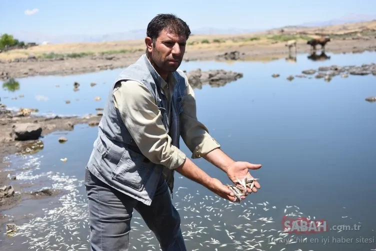 Şanlıurfa’da korkutan görüntü: Ölümler 2 gün önce başladı