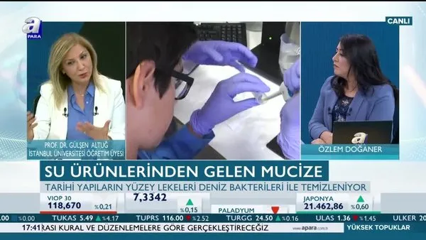 Paranın Yönü | 20.06.2019