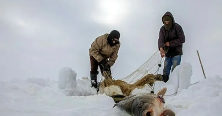 Buz kırıp balık tuttular