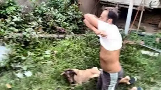 Kafası parçalanmış köpeği iyileştiren adam rekor kırıyor