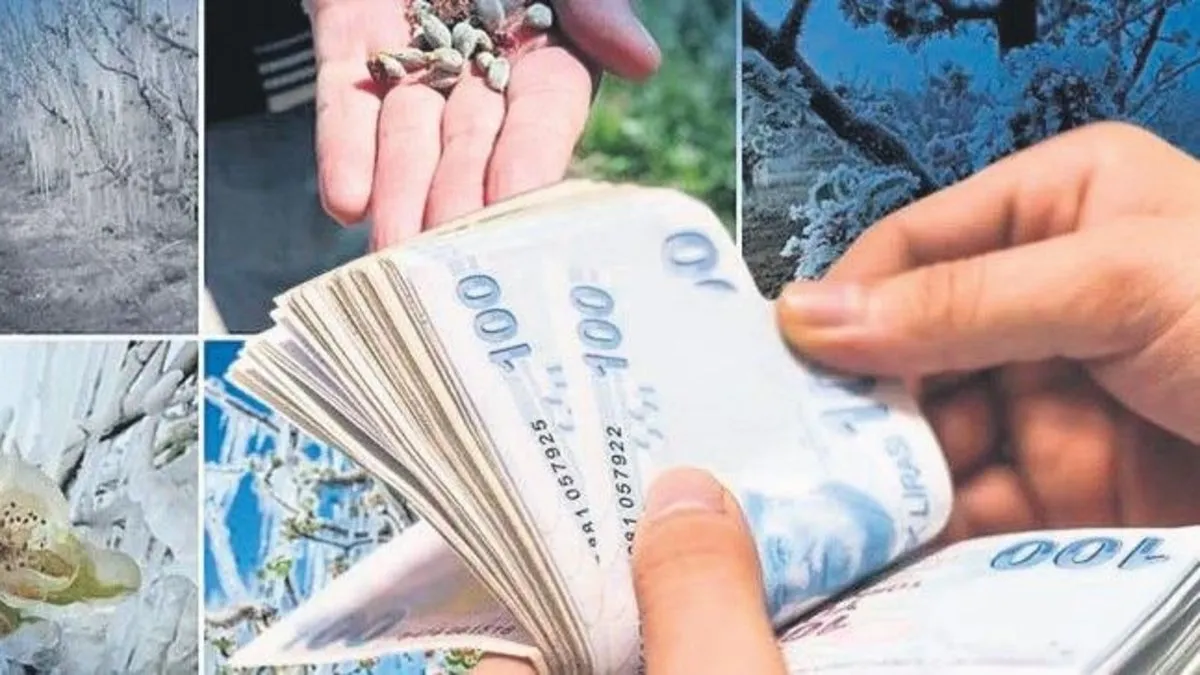 Dön mağdurlarına 46.5 milyar TL destek