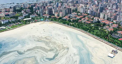 Müsilaj Deniz salyası kabusu! Bu görüntüler İstanbul’un göz bebeği Caddebostan’dan