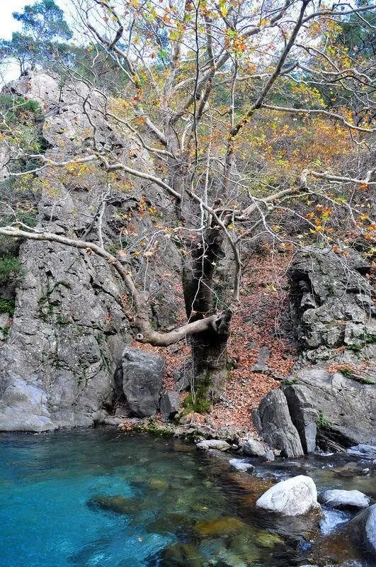 Efsanelerin kutsal dağı ''İda''