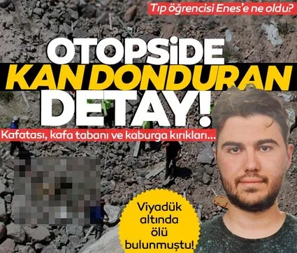 Tıp öğrencisi Enes viyadükte ölü bulunmuştu: Otopside kan donduran detay!