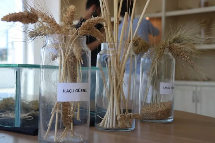 Türkiye’nin her yerinden sipariş yağıyor! Bahçesine ekti tam 7 bin yıllık!