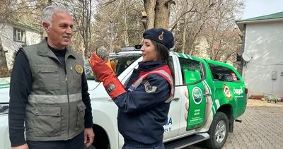 Bingöl'de yaralı atmaca veterinere teslim edildi #bingol