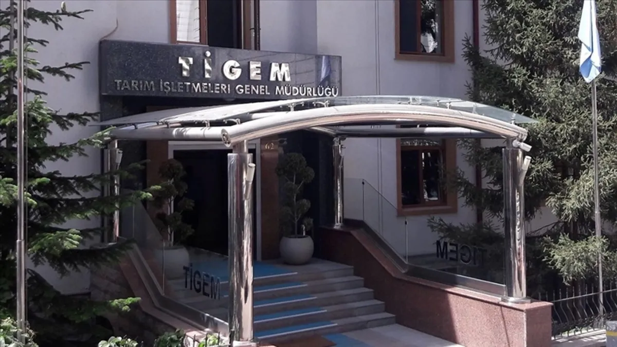 TİGEM, 120 reforme küçükbaş hayvan satacak