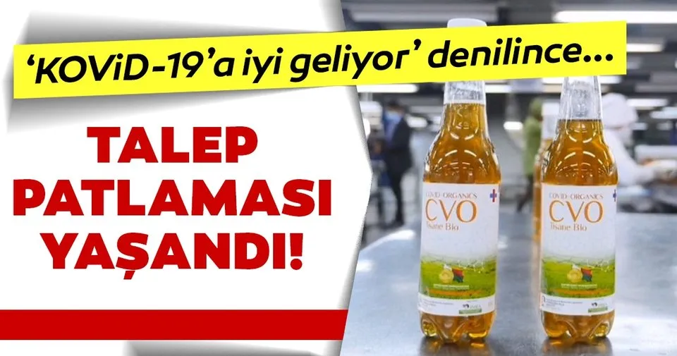 Corona Virusu Tedavisi Ile Ilgili Son Dakika Haberi Bitkisel Karisim Tedavisi Icin Artemisia Bitkisi Dunya Haberleri