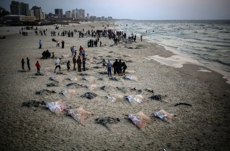 Gazzeli balıkçılara avlanma yasağı kaldırıldı