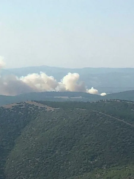 SON DAKİKA: Manisa Soma’da ve Mersin’de orman yangını: 2 mahalle ile 110 hane tahliye edildi