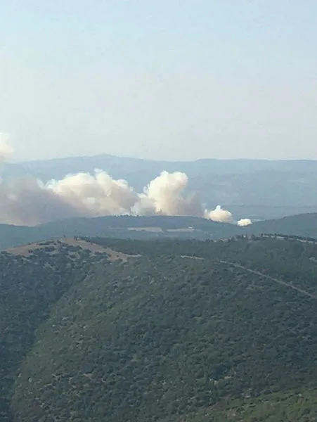 SON DAKİKA: Manisa Soma’da ve Mersin’de orman yangını: 2 mahalle ile 110 hane tahliye edildi
