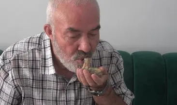 Yavru kuşu ağzıyla besleyerek hayata döndürdü: