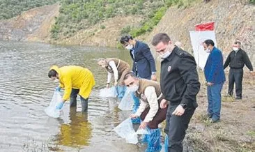 72 bin sazan suyla buluştu