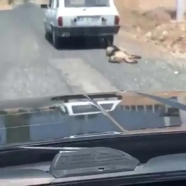 Köpeği otomobilin arkasında sürükleyen kişinin cezası belli oldu