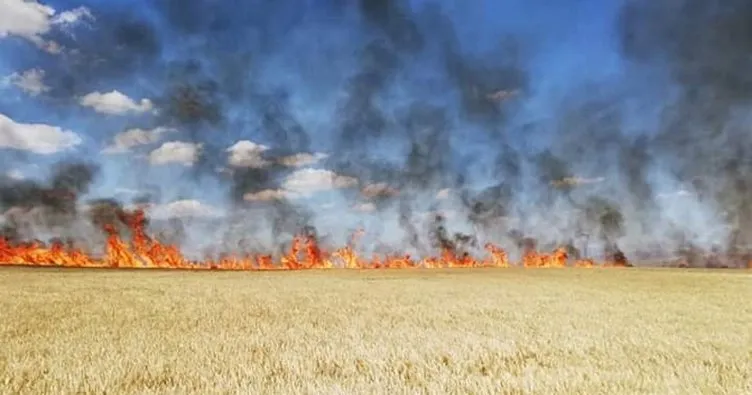 Aksaray’da 300 dönüm tarım arazisi yandı