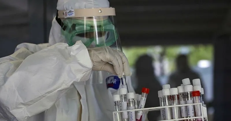 pcr testi nedir nasil ve nereden