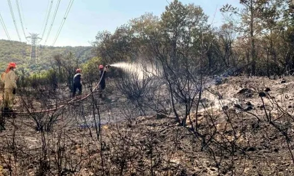 cekmekoyde-ormanlik-alanda-cikan-yangin-buyumeden-sonduruldu-yanginda-10-donumluk-alan-zarar-gordu-1755891045441.jpg
