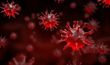 Yeni teklike Nipah virüsü hagi ülkelerde var, nasıl bulaşır ve belirtileri nelerdir? Nipah virüsü nedir, aşısı var mı?