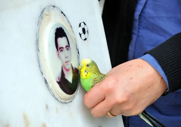 Şehit annesinin yürek burkan hayat hikayesi