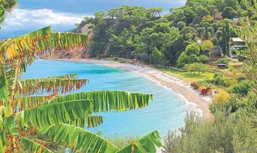 Yeşil ile mavinin uyumu Sisam