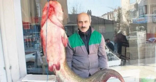 60 kiloluk yayın balığı yakalandı