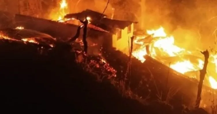 Artvin’de 3 ev 2 samanlık yandı, 14 büyükbaş hayvan telef oldu