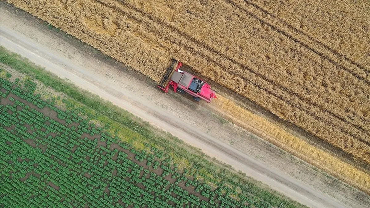 Hürmüz kapandıkça gıda krizi yaklaşıyor! Fitch, gübre fiyatı beklentisini yükseltti Hürmüz kapandıkça gıda krizi yaklaşıyor! Fitch, gübre fiyatı beklentisini yükseltti