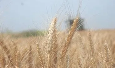 Tarımda menkul kıymet dönemi