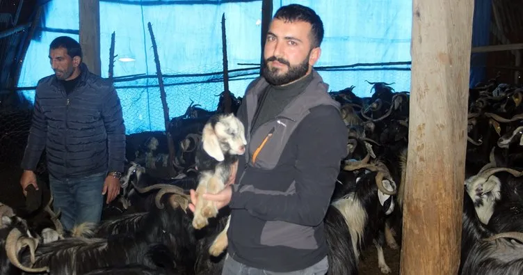 Terörden arındırılan köyüne döndü, hayvancılık işine girdi